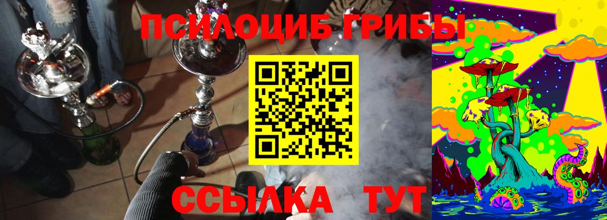 Псилоцибиновые грибы MAGIC MUSHROOMS  Галлюциногенные грибы GOLDEN TEACHER  Вход с VPN  Зеленогорск 